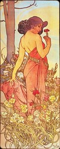 Carnation